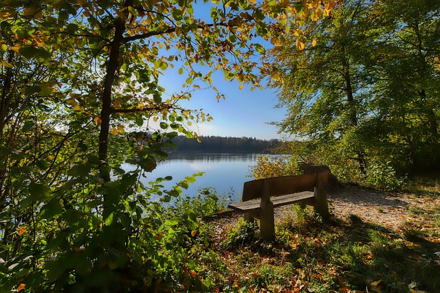 在关键时刻 在关键时刻