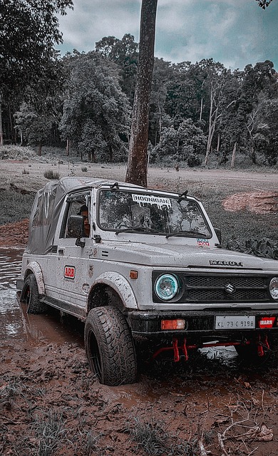 年联赛中展 年联赛中展